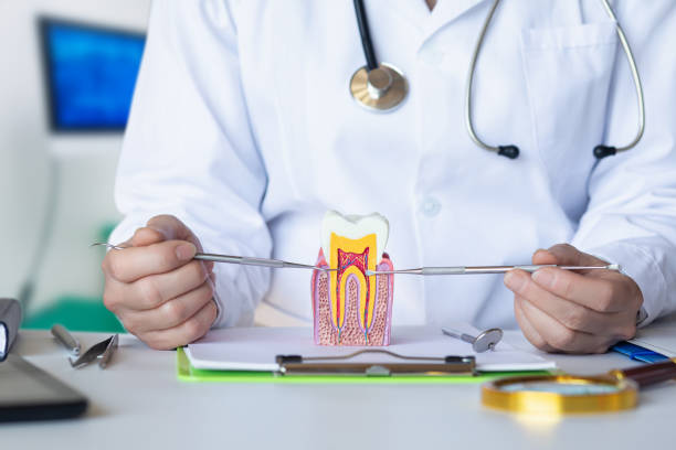Best Emergency Tooth Extraction in Auburn, IL